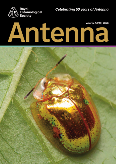 Antenna 50 (1) cover