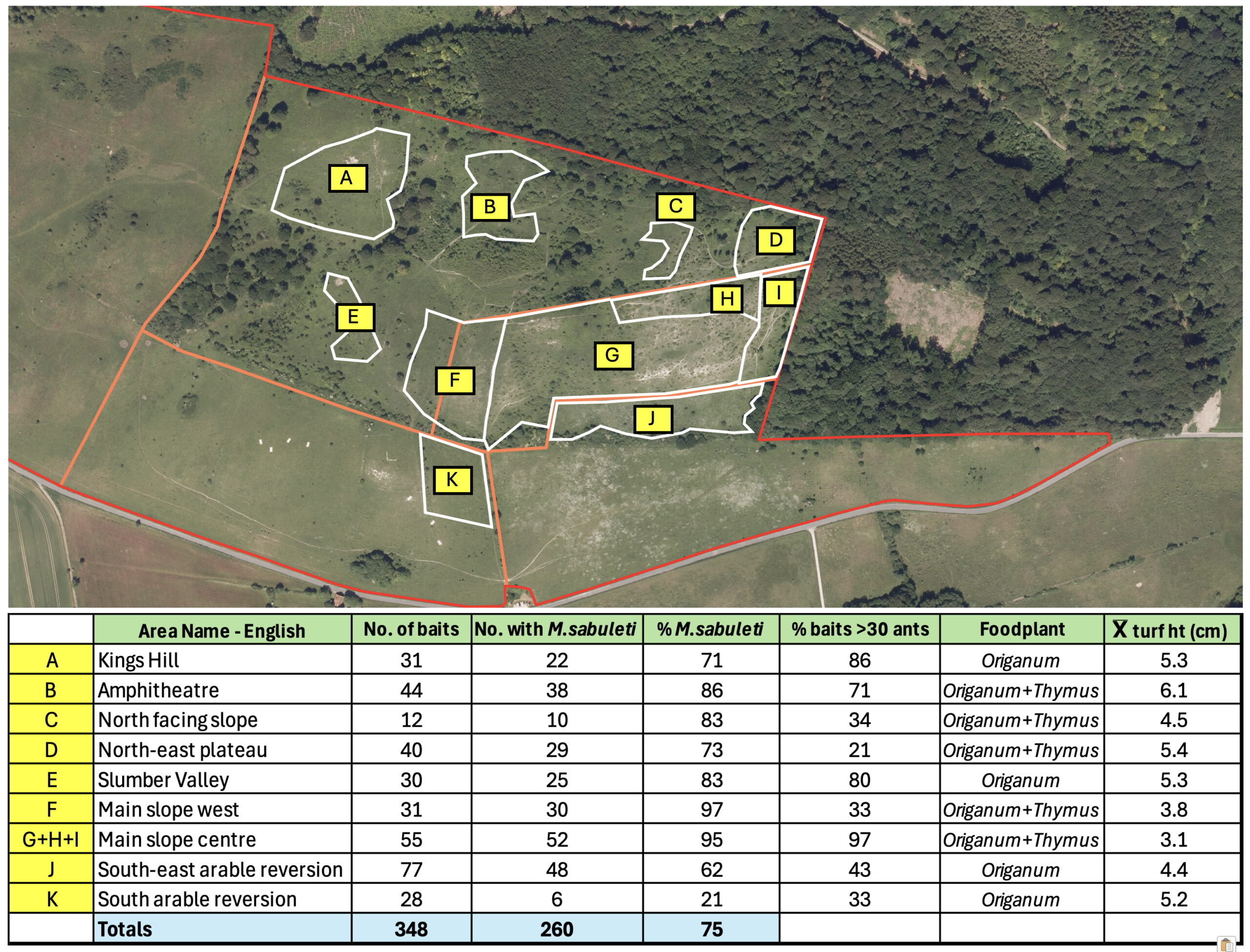 Detailed ant surveys reveal that Høvblege supports robust and numerous colonies of the Red Ant (Myrmica sabuleti) crucial to the survival of Large Blues. The cooler areas C & D will become important in the future under a warming climate.