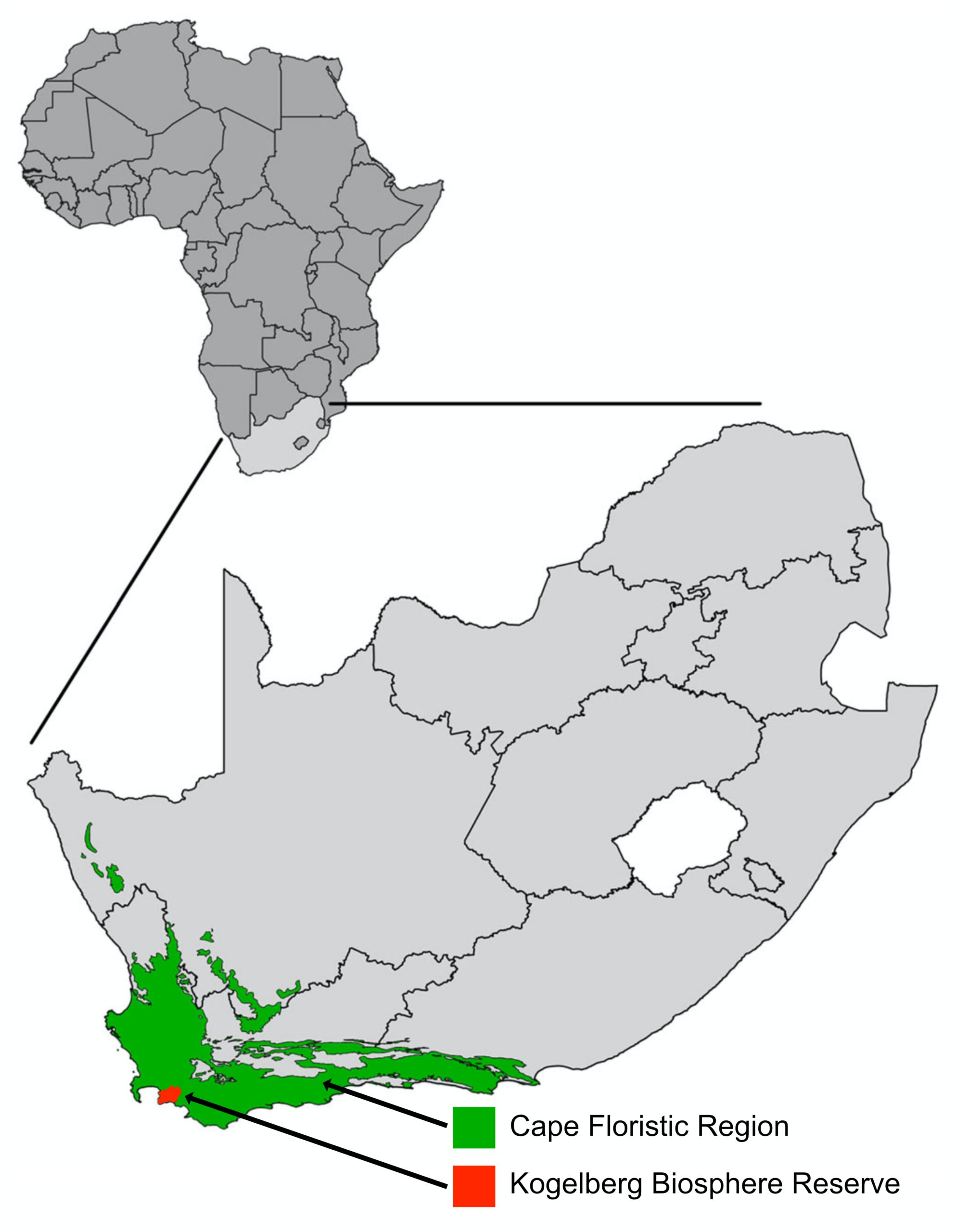 Figure 1. The Cape Floristic Region biodiversity hotspot at the southern tip of Africa with the position of the Kogelberg Biosphere Reserve arrowed. Map by Charl Deacon