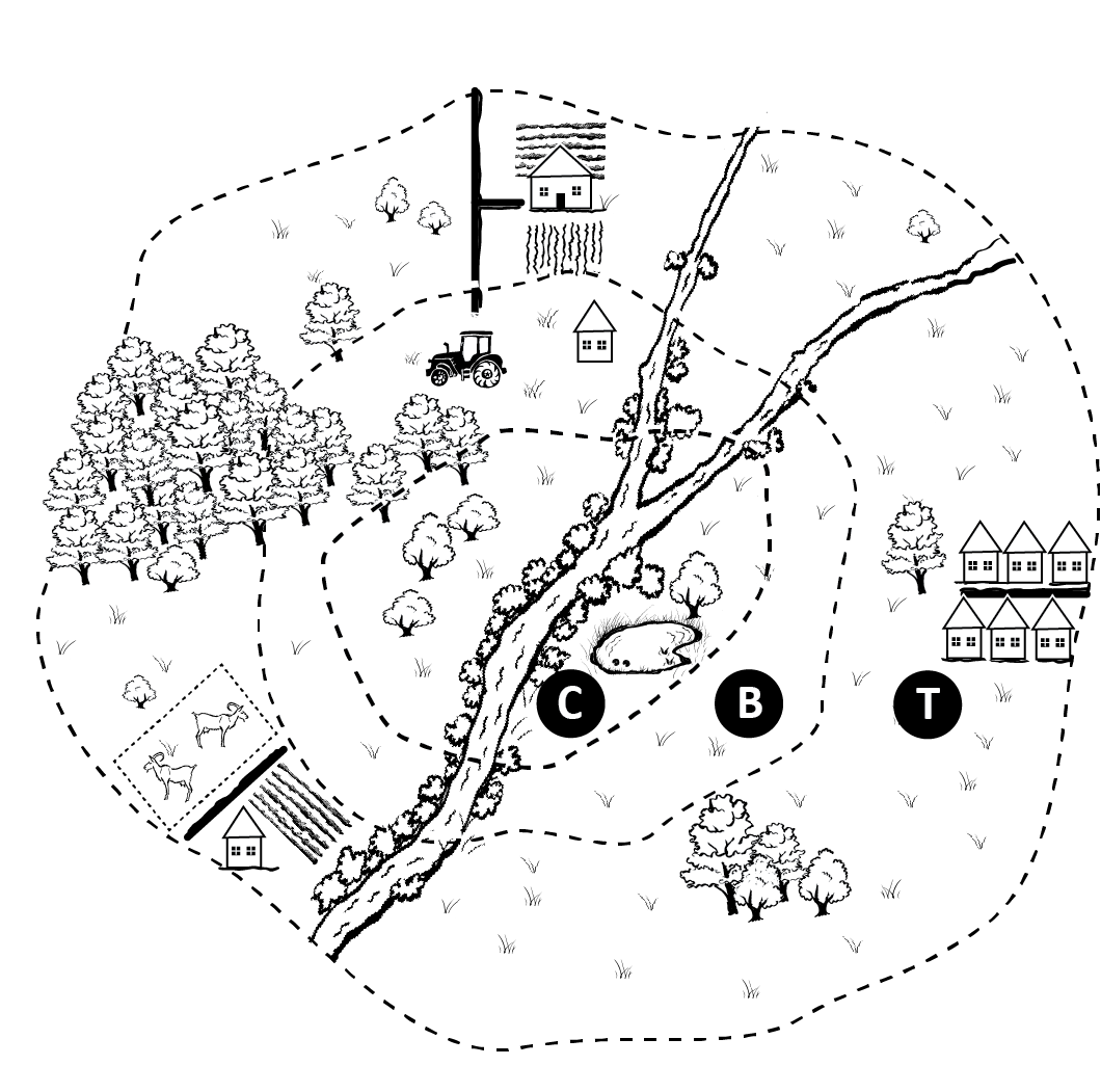 Figure 4. The Biosphere Reserve concept. The core zone (C) in the centre is a formally proclaimed protected area dedicated to biodiversity conservation and the maintenance of ecosystem processes. Around this zone is the buffer zone (B) with low-intensity human land use and employing agroecological principles. Outside the buffer zone is the transition zone (T), also employing agroecological principles, but slightly Figure 3. An apple orchard with weedy interrow strips nestled among the mountains in the Kogelberg Biosphere Reserve. Credit: Peter Steward. more extensively than in the buffer zone. In reality, these zones are much more convoluted than shown here (From Samways, 2020).