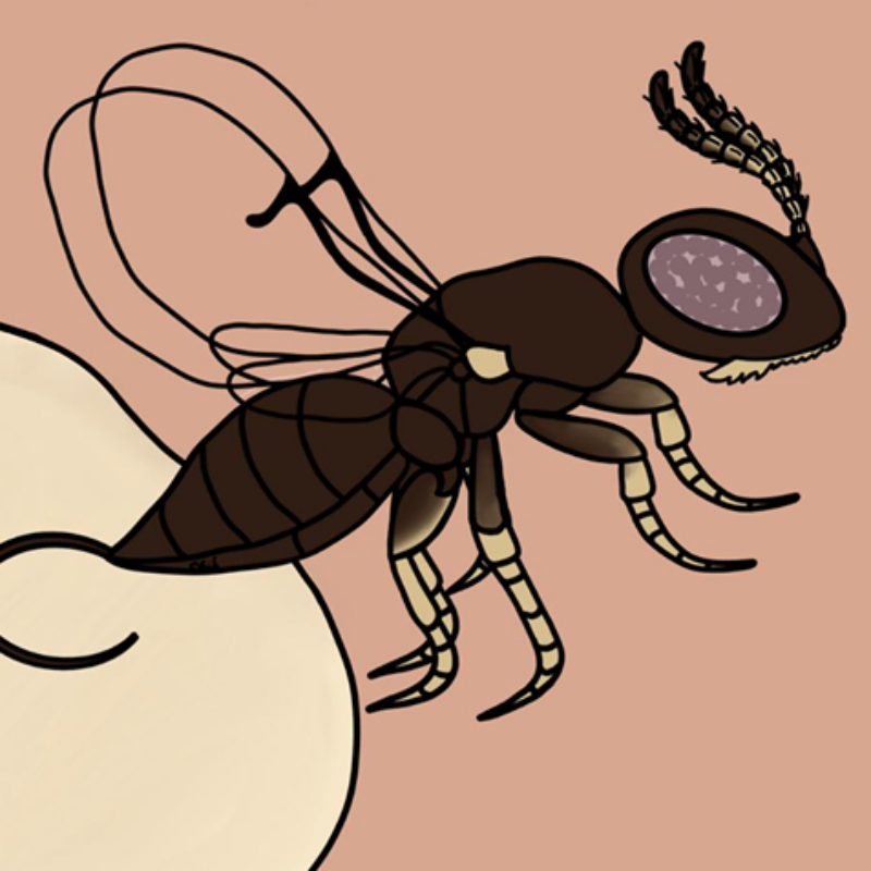 News headline thumbnail for Student Science Communication Award 2025 winners announced