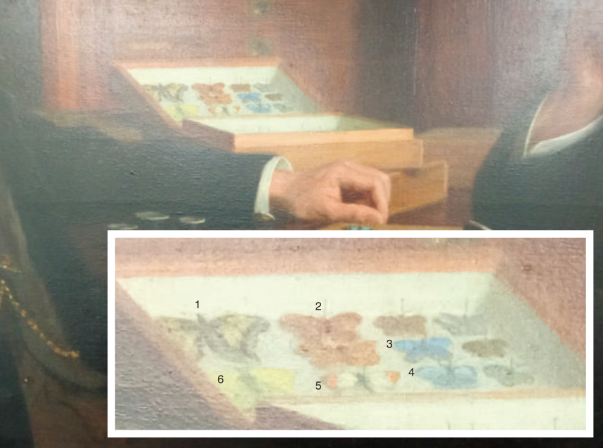 A collection of British butterflies including: Swallowtail (Papilio machaon Britannicus; inset 1), an unspecified fritillary species (inset 2), Adonis Blue (Polyommatus bellargus; inset 3), Chalk Hill Blue (Polyommatus coridon; inset 4), Orange tip (Anthocharis cardamines; inset 5), Brimstone (Gonepteryx rhamni; inset 6) and Holly Blue (Celastrina argiolus; not numbered). Credit: Rose Pearson.