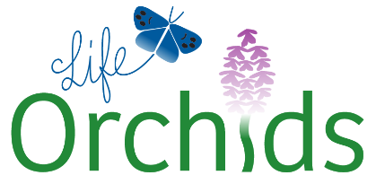 Life Orchids Logo