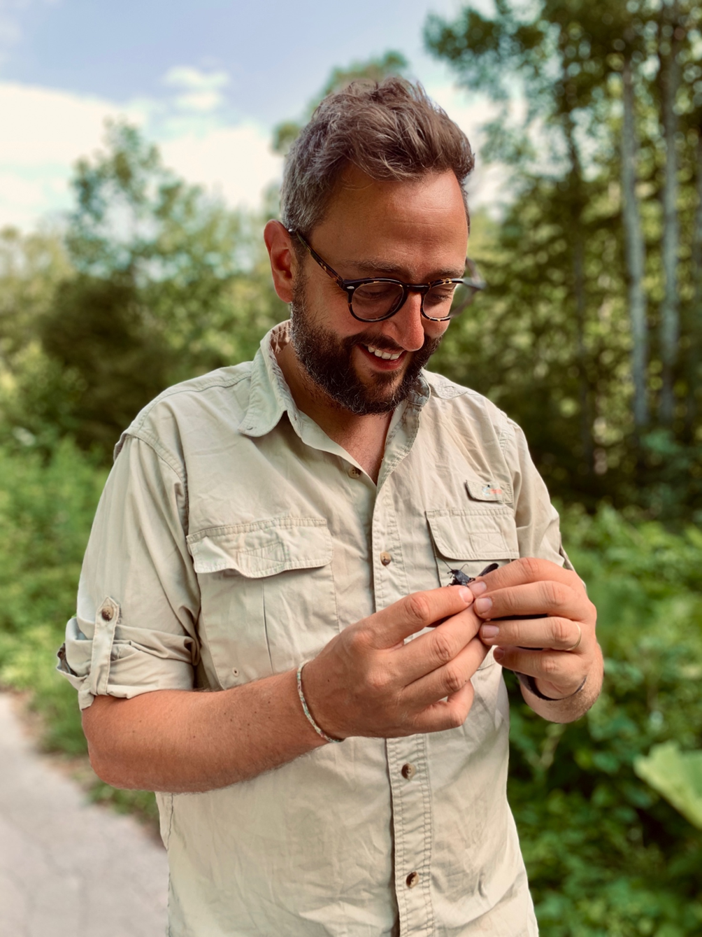 Inspecting the largest Carabus species in Europe, Carabus gigas here in North Macedonia (Photo: Slavčo Hristovski)