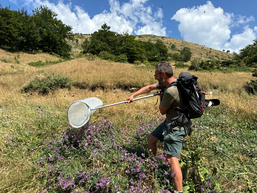 Collecting skipper butterflies on top of the Forêt de Saou (Photo: Laurent Toussaint)