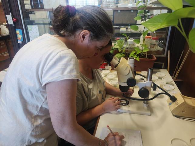 Marcela Silvina Rodriguero and Lucía Fernandez Goya viewing a microscope. Photo Credit: Diego Caraballo