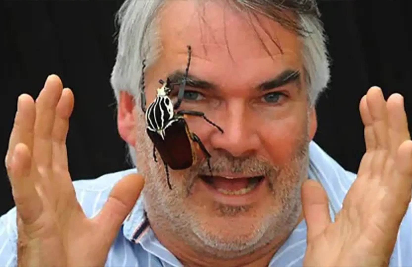 Martin French, founder and builder of The Bug Parc with a goliath beetle