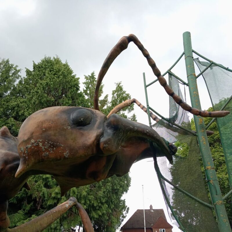 News headline thumbnail for Giant Leafcutter Ant Finds New Home at Bug Parc Norfolk