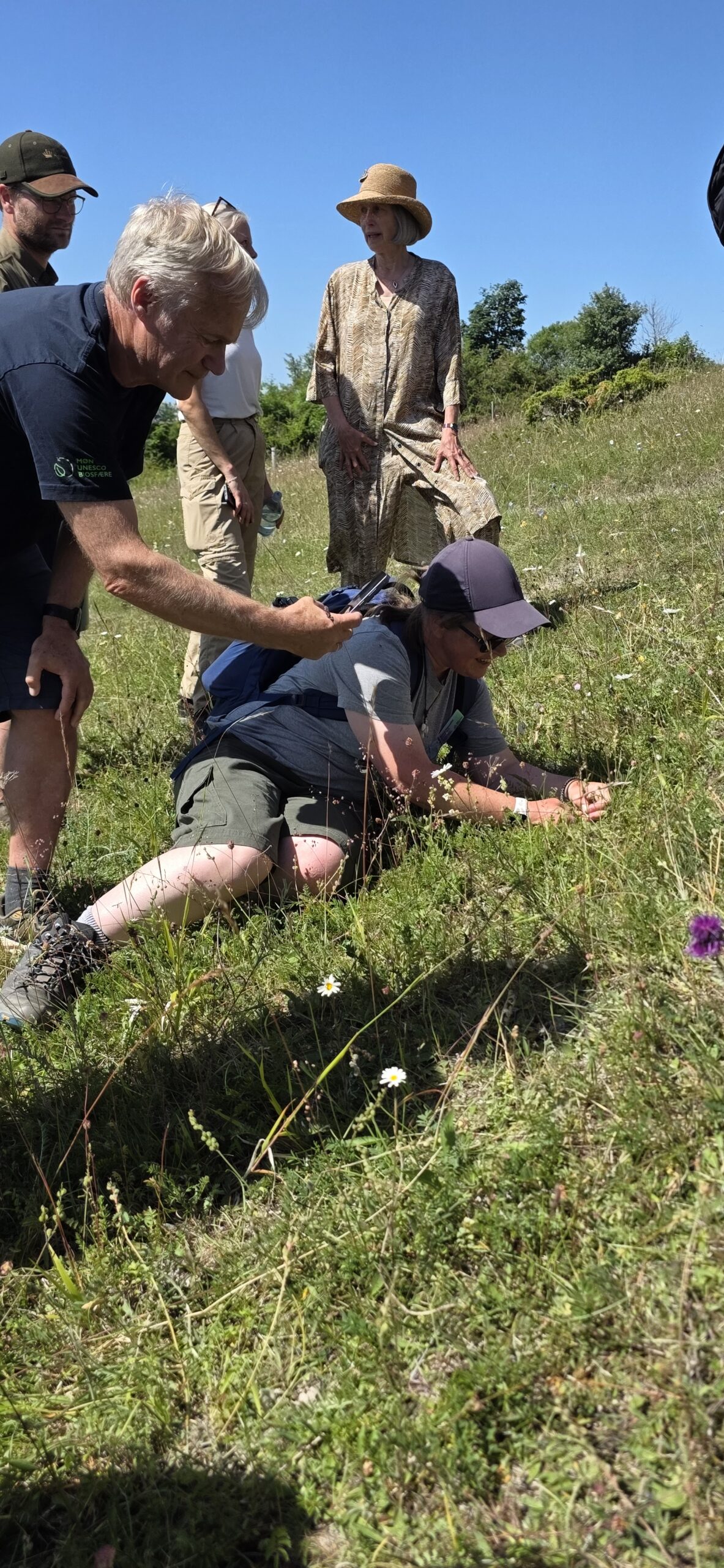 Sarah Meredith with VIPs at Denmark Large Blue site - Insect Week 2026
