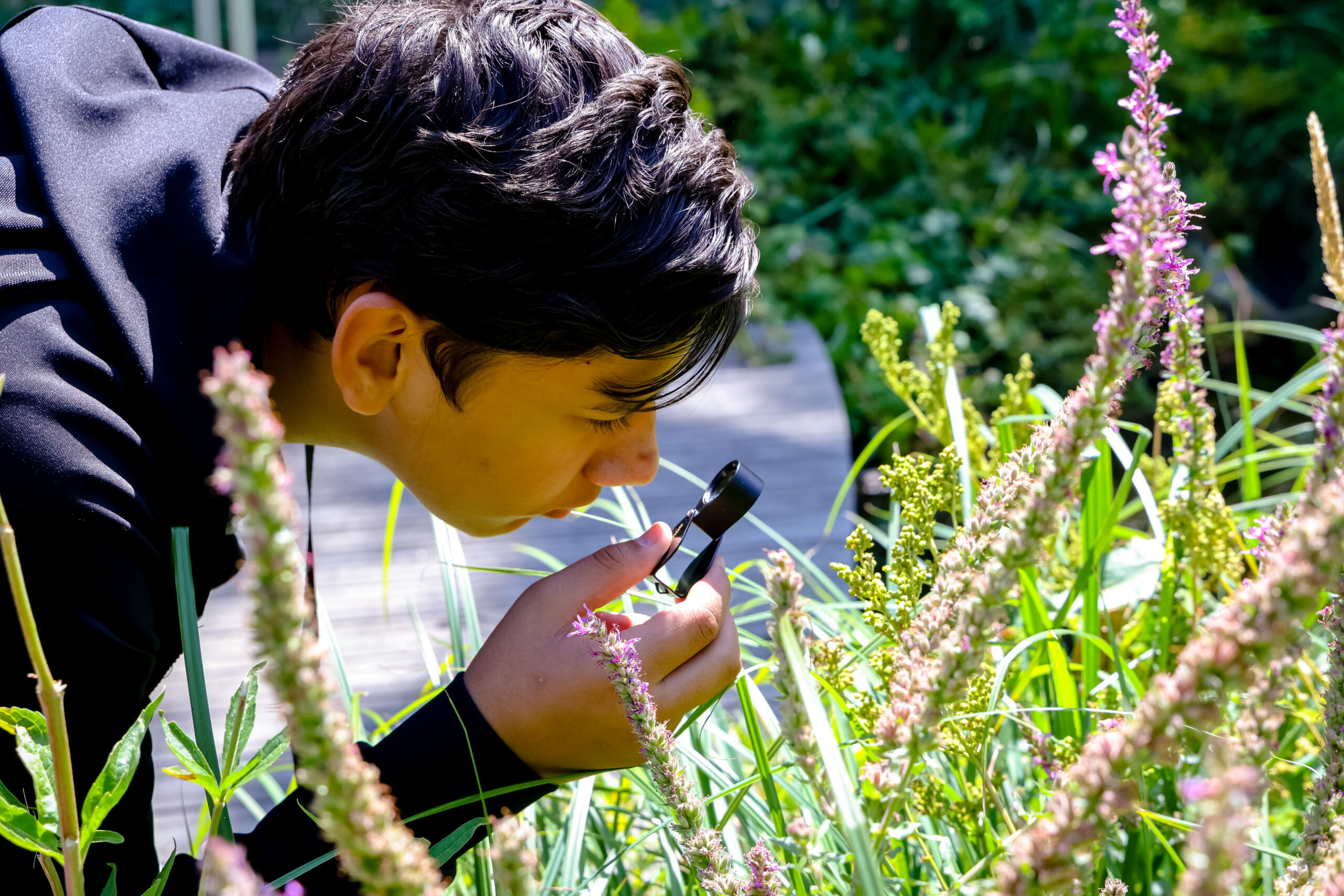 Boy with hand lens on RES session at East Summer School 2025