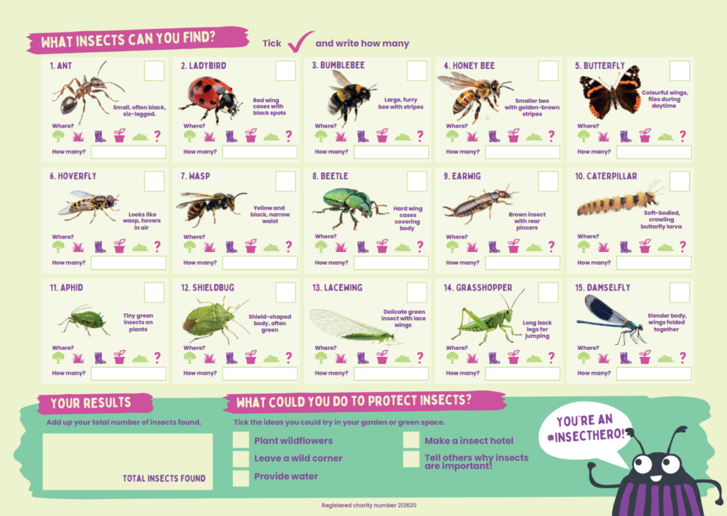 Free Insect Week Education Resources - Royal Entomological Society
