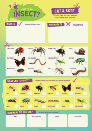 Insect Week Printable Free Insect Week Education Resources - Royal Entomological Society