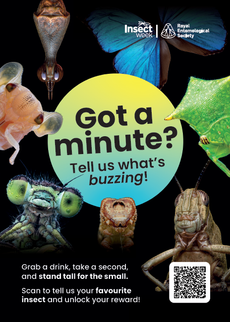 Got a minute? Tell us what's buzzing! Advertisement for a survey - tell us your favourite insect and enter our prize draw.