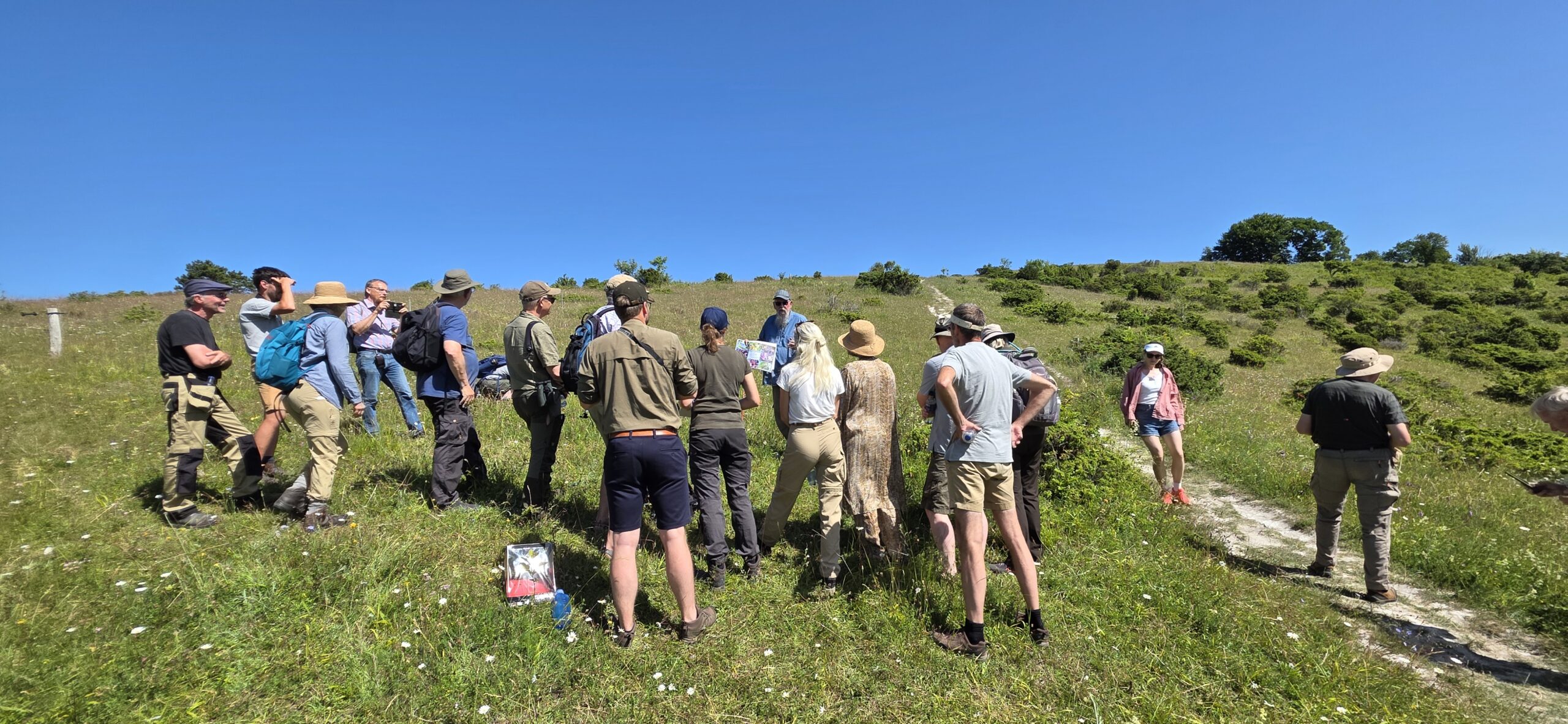 RES team at VIP event at Denmark Large Blue site - Insect Week 2026