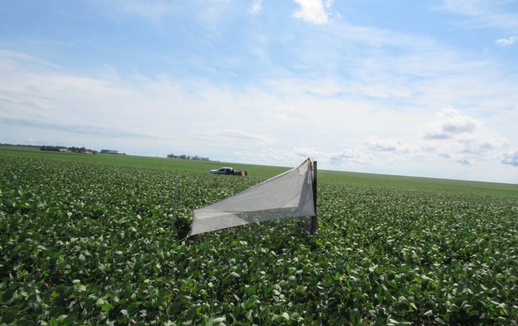 Protecting crops. Photo Credit: BioAgroTeam