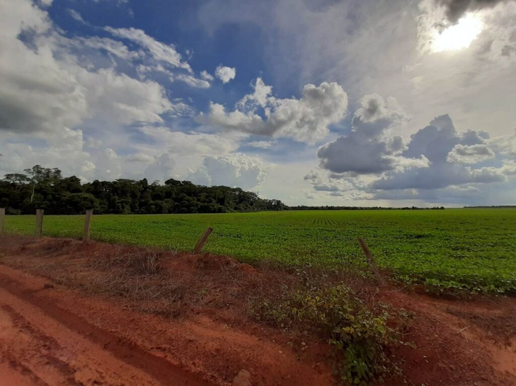 Field. Photo Credit: BioAgroTeam