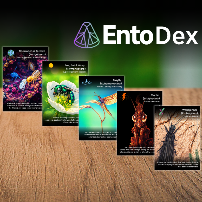 EntoDex, collectable limited edition cards  created by the RES staff team for the Ento26 conference