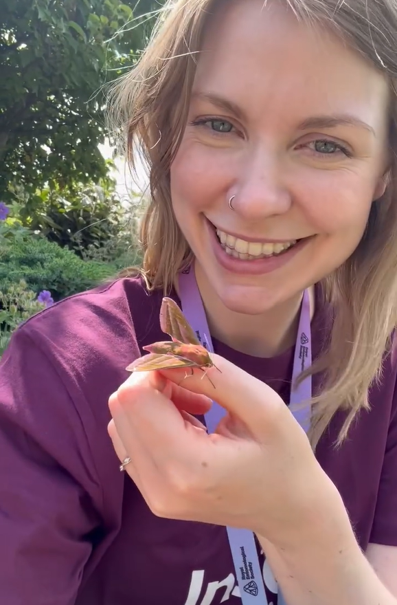 Ashleigh Whiffin holding an elephant hawk moth at Edinburgh City Hub - Insect Week 2026