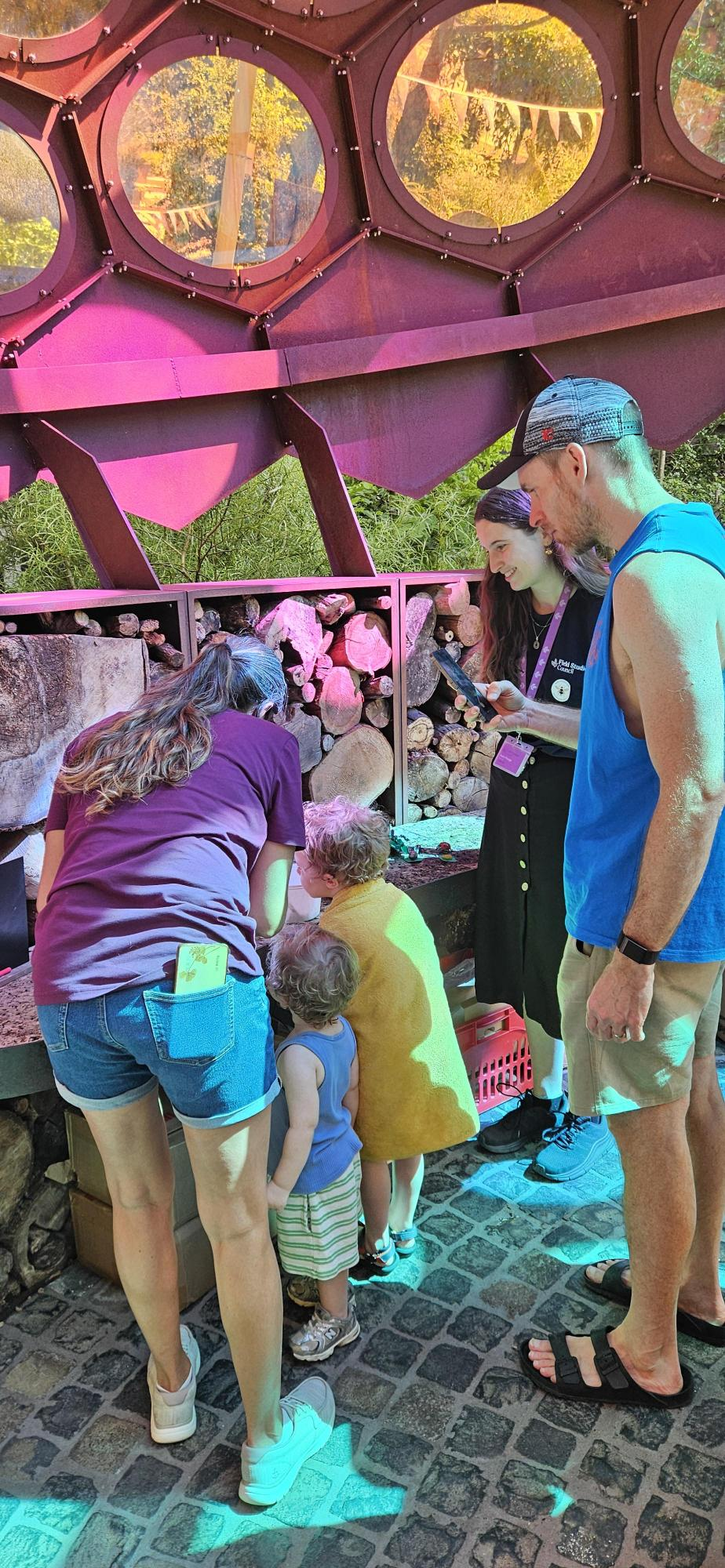 People engaging with insect resources in the RES Insect Garden, Stratford Cross, London, during Insect Week 2026