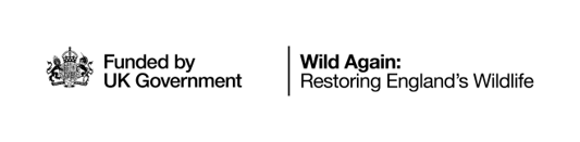 Funded by UK Government, and Wild Again restoring England's wildlife logos