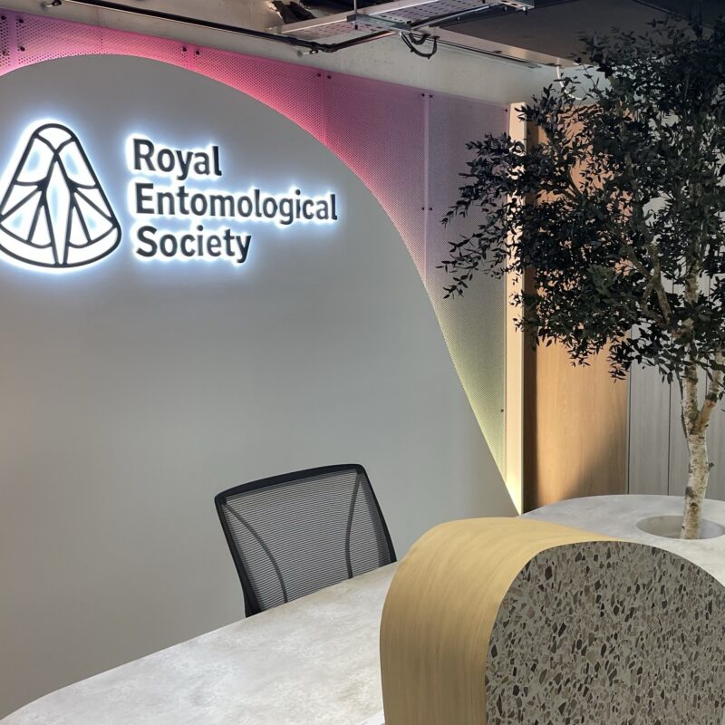 News headline thumbnail for The RES HQ acquires new base in London