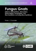 Fungus Gnats (Diptera - Bolitophilidae, Ditomyiidae, Diadocidiidae, Keroplatidae, and Mycetophilidae excluding Mycetophilinae)